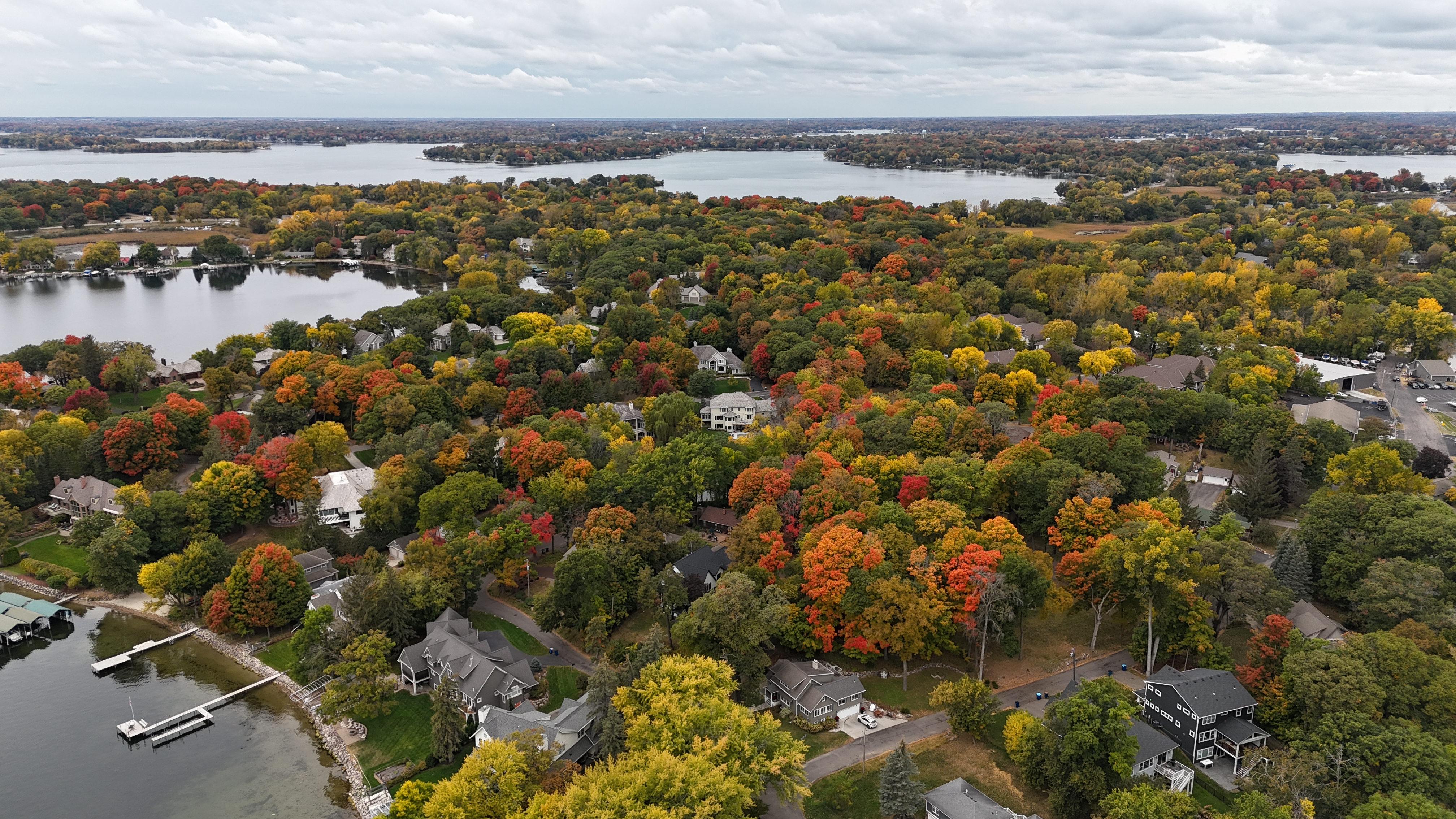 Phelps Bay from Above
